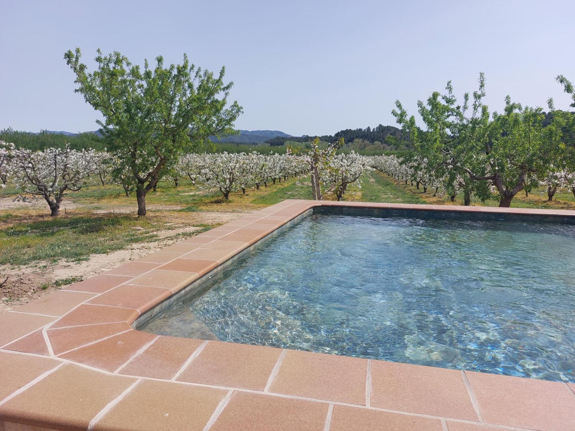 Villa Masia Rural L'hort De Maso Miravet