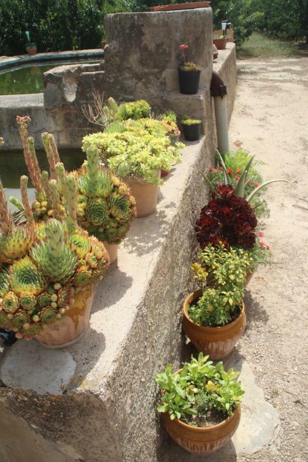 Villa Masia Rural L'hort De Maso *